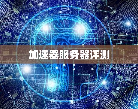 加速器服务器评测