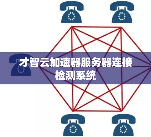 才智云加速器服务器连接检测系统