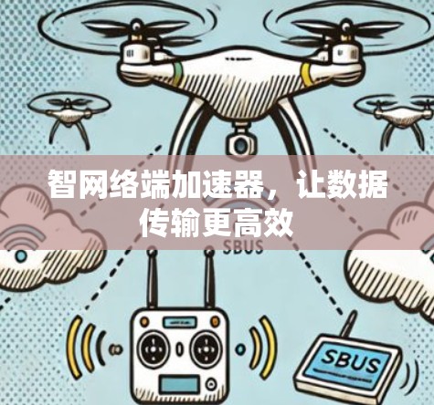 智网络端加速器,让数据传输更高效