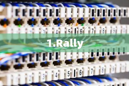 1.Rally