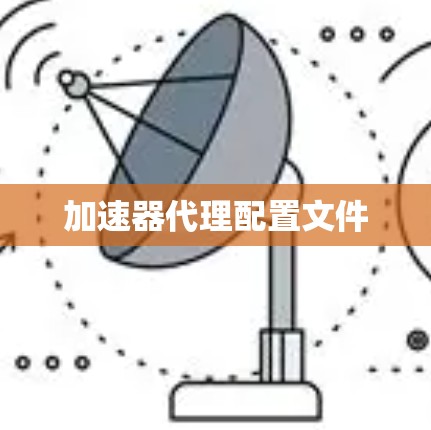 加速器代理配置文件