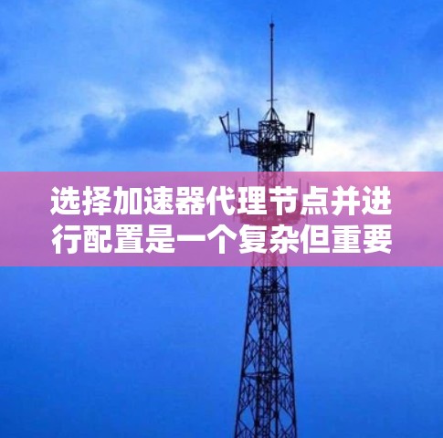 选择加速器代理节点并进行配置是一个复杂但重要的步骤，尤其是对于需要高效运行的程序。以下是逐步的解决方案