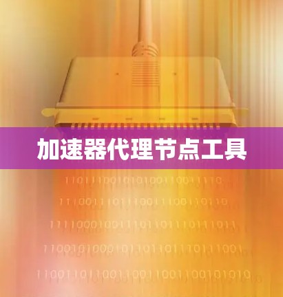 加速器代理节点工具