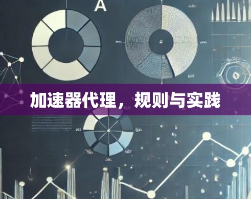 加速器代理,规则与实践 加速器代理,规则与实践
