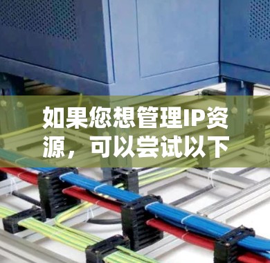 如果您想管理IP资源,可以尝试以下方法或工具 如果您想管理IP资源,可以尝试以下方法或工具