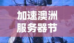 加速澳洲服务器节点技术解析