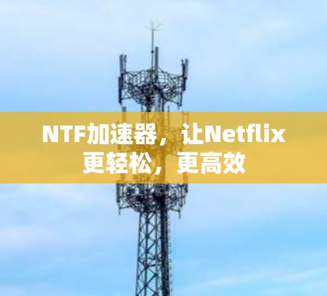 NTF加速器,让Netflix更轻松,更高效