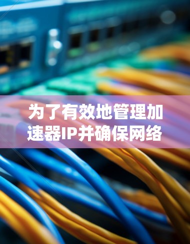 为了有效地管理加速器IP并确保网络环境的安全，以下是一个系统化的步骤指南