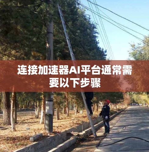 连接加速器AI平台通常需要以下步骤