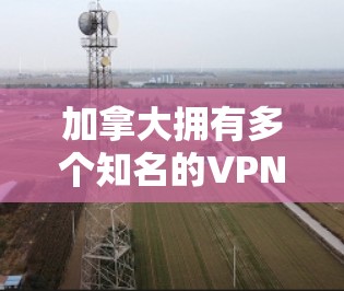 加拿大拥有多个知名的VPN服务提供商,这些平台在提供VPN服务方面各有特点。以下是关于加拿大VPN线路服务的详细分析