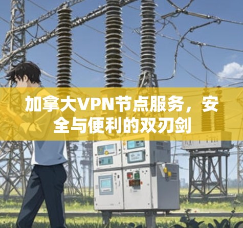 加拿大VPN节点服务，安全与便利的双刃剑