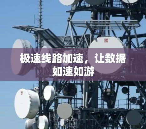 极速线路加速,让数据如速如游 极速线路加速,让数据如速如游