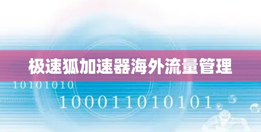 极速狐加速器海外流量管理