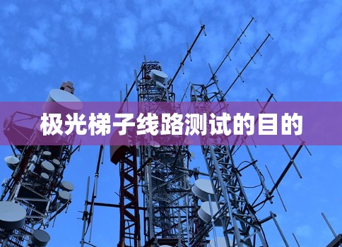极光梯子线路测试的目的