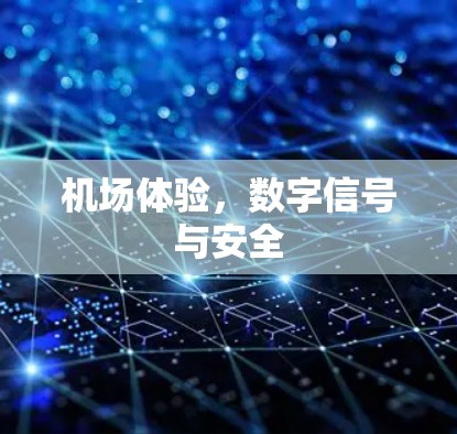 机场体验,数字信号与安全