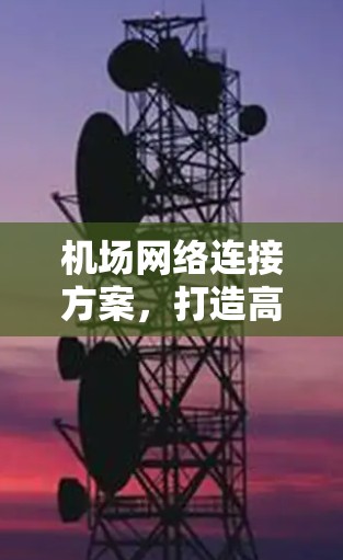 机场网络连接方案,打造高效便捷的空中交通