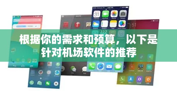 根据你的需求和预算,以下是针对机场软件的推荐