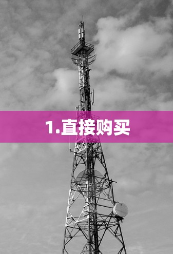 1.直接购买